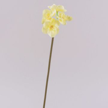 Narcisse artificiel SEPUNY, crème-jaune, 40 cm, Ø 6 cm