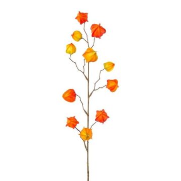 Branche décorative Physalis LISOP avec des fruits, orange-jaune, 80cm