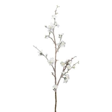 Branche de fleurs de cognassier artificielle FLORKE avec des fleurs, givré, blanc, 90cm