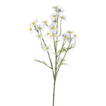 Branche décorative Camomille WISOP, blanc, 75cm
