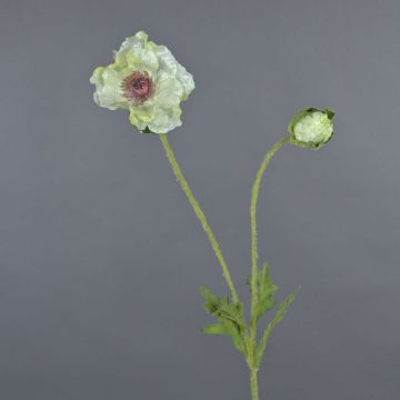Fleur décorative Coquelicot MESOP, blanc, 65cm