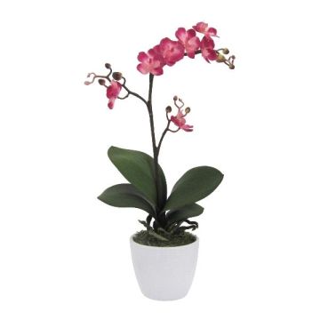 Fleur décorative Orchidée Phalaenopsis CRILBOR, pot en céramique, racines, cerise, 55cm