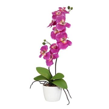 Fleur décorative Orchidée Phalaenopsis MORLEK, pot en céramique, racines, rose fuchsia, 60cm