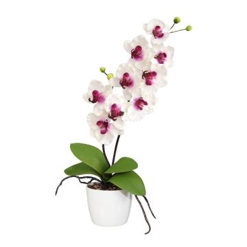 Fleur décorative Orchidée Phalaenopsis MORLEK, pot en céramique, racines, blanc-lilas, 60cm