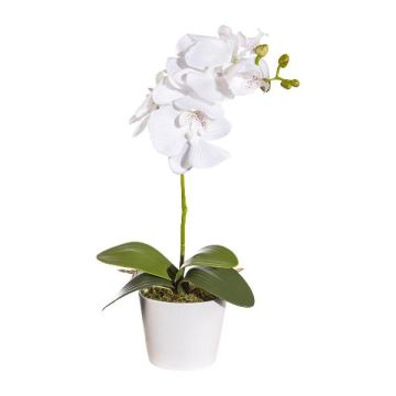 Fleur décorative Orchidée Phalaenopsis TRALKE, pot décoratif, racines, blanc, 40cm