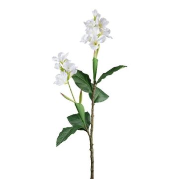 Branche artificielle Canna indica DRAMTEL, blanc, 145cm