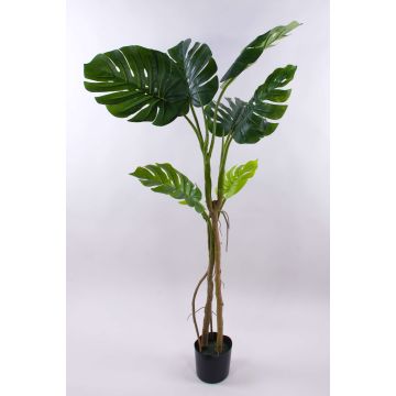 Plante artificielle Philodendron monstera deliciosa CUNKYN dans un pot décoratif, 170cm Plante artificielle Philodendron monstera deliciosa CUNKYN dans un pot décoratif, 170cm