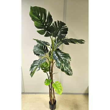 Plante artificielle Philodendron Monstera Deliciosa CUNKYN dans un pot décoratif, 180 cm Plante artificielle Philodendron Monstera Deliciosa CUNKYN dans un pot décoratif, 180 cm