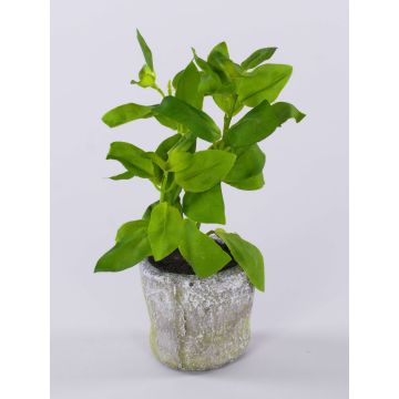 Plante artificielle basilic POLINDA dans un pot décoratif, vert, 26 cm