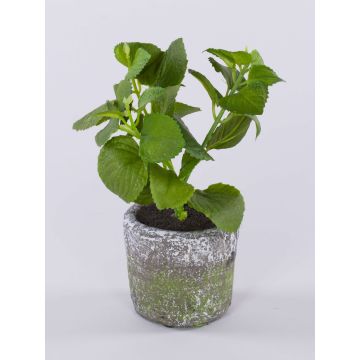 Plante artificielle menthe POLINDA dans un pot décoratif, vert, 26 cm