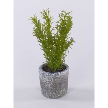 Plante artificielle de romarin POLINDA dans un pot décoratif, vert, 26 cm Plante artificielle de romarin POLINDA dans un pot décoratif, vert, 26 cm