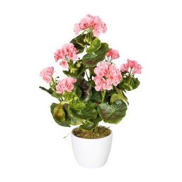 Fleur décorative Géranium DOLKREN, pot en céramique, crossdoor, rose, 40cm Fleur décorative Géranium DOLKREN, pot en céramique, crossdoor, rose, 40cm