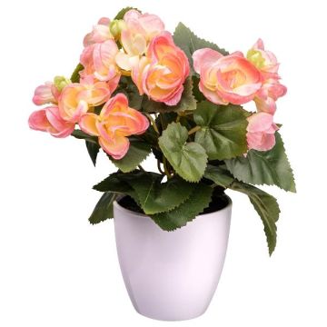 Fleur artificielle Bégonia SYLINA, pot décoratif blanc, rose, 25cm Fleur artificielle Bégonia SYLINA, pot décoratif blanc, rose, 25cm