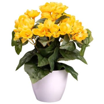 Fleur artificielle Bégonia SYLINA, pot décoratif blanc, jaune, 30cm Fleur artificielle Bégonia SYLINA, pot décoratif blanc, jaune, 30cm