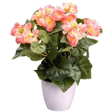 Fleur artificielle Bégonia SYLINA, pot décoratif blanc, rose, 35cm Fleur artificielle Bégonia SYLINA, pot décoratif blanc, rose, 35cm