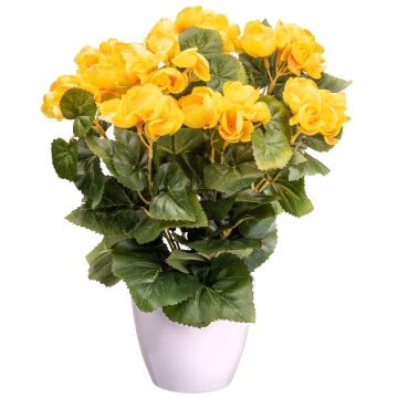 Fleur artificielle Bégonia SYLINA, pot décoratif blanc, jaune, 35cm Fleur artificielle Bégonia SYLINA, pot décoratif blanc, jaune, 35cm