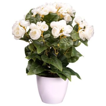 Fleur artificielle Bégonia SYLINA, pot décoratif blanc, crème, 35cm Fleur artificielle Bégonia SYLINA, pot décoratif blanc, crème, 35cm