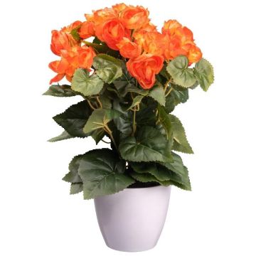 Fleur artificielle Bégonia SYLINA, pot décoratif blanc, orange, 35cm Fleur artificielle Bégonia SYLINA, pot décoratif blanc, orange, 35cm