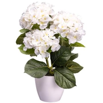 Fleur décorative Hortensia SLORFIN en pot décoratif blanc, blanc, 30cm