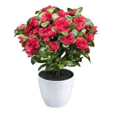 Fleur artificielle azalée WHENFA dans un pot décoratif blanc, rouge, 30 cm Fleur artificielle azalée WHENFA dans un pot décoratif blanc, rouge, 30 cm