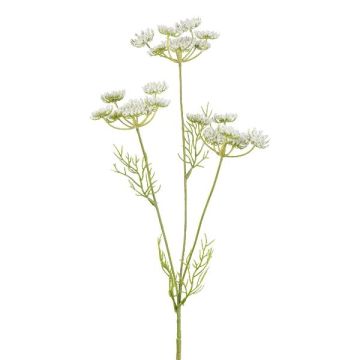 Branche artificielle de carotte sauvage KRAHEN, blanche, 50 cm Branche artificielle de carotte sauvage KRAHEN, blanche, 50 cm