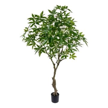Arbre artificiel Pachira MUMBY, tronc artificiel, 220 cm