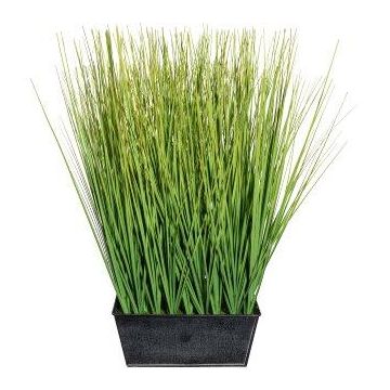 Herbe décorative Pennisetum LOPIMA dans un pot en zinc, vert, 45cm