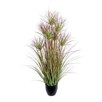 Herbe décorative Papyrus DARSA en pot décoratif, vert-rouge, 95cm