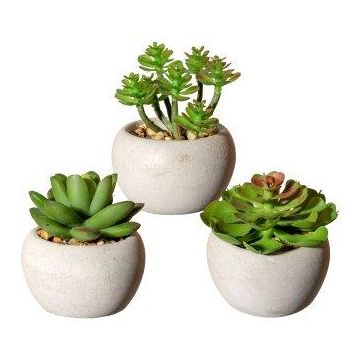 Arrangement de plantes succulentes artificielles PLOKSA dans un pot en ciment, 3 pièces, vert, 6,5-8cm