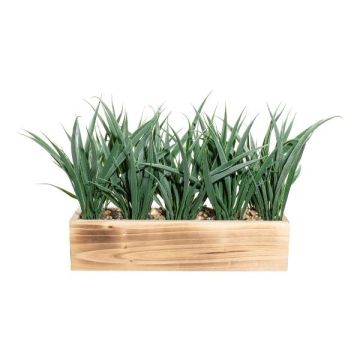 Herbe décorative Roseau WENMAL dans un bac en bois, vert, 30x9x23cm Herbe décorative Roseau WENMAL dans un bac en bois, vert, 30x9x23cm