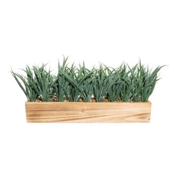 Herbe décorative Roseau WENMAL dans un bac en bois, vert, 52x10x23cm Herbe décorative Roseau WENMAL dans un bac en bois, vert, 52x10x23cm
