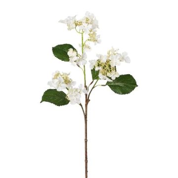 Branche artificielle Hortensia VESLON, blanc, 65cm Branche artificielle Hortensia VESLON, blanc, 65cm