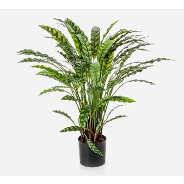 Plante artificielle Calathea Rufibarba ADELFRIEDE, verte, 85 cm Plante artificielle Calathea Rufibarba ADELFRIEDE, verte, 85 cm