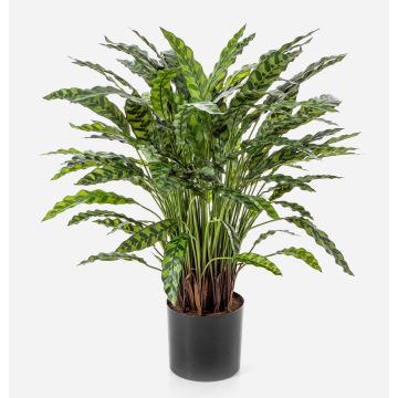Plante artificielle Calathea Rufibarba ADELFRIEDE, verte, 90 cm Plante artificielle Calathea Rufibarba ADELFRIEDE, verte, 90 cm