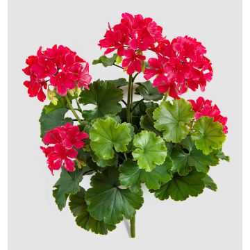 Fleur artificielle géranium OTTAVIA sur tige, crossdoor, rose, 40 cm