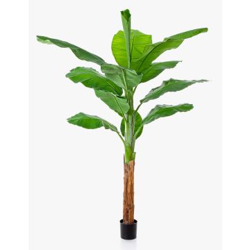 Banane artificielle OMERA, 200 cm Banane artificielle OMERA, 200 cm