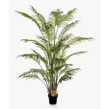 Palmier Areca artificiel LUVA, 205 cm Palmier Areca artificiel LUVA, 205 cm