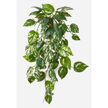 Plante artificielle suspendue, lierre DRAGAN sur tige, difficilement inflammable, vert-blanc, 70 cm Plante artificielle suspendue, lierre DRAGAN sur tige, difficilement inflammable, vert-blanc, 70 cm