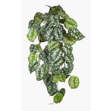 Plante suspendue artificielle : lierre tacheté RONELIO sur tige, difficilement inflammable, vert-blanc, 70 cm Plante suspendue artificielle : lierre tacheté RONELIO sur tige, difficilement inflammable, vert-blanc, 70 cm