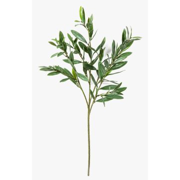 Branche d'olivier artificielle BRANDAR, crossdoor, verte, 70 cm Branche d'olivier artificielle BRANDAR, crossdoor, verte, 70 cm