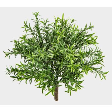 Plante artificielle : romarin ORSOLA sur tige, crossdoor, vert, 30 cm Plante artificielle : romarin ORSOLA sur tige, crossdoor, vert, 30 cm