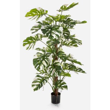 Plante artificielle Philodendron Monstera Deliciosa Variegata MEBSUTA, vert-blanc, 160 cm Plante artificielle Philodendron Monstera Deliciosa Variegata MEBSUTA, vert-blanc, 160 cm