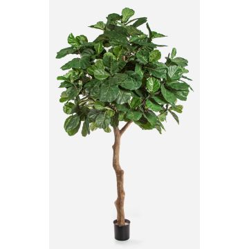 Ficus Lyrata artificiel FELTON, tronc artificiel, vert, 360 cm Ficus Lyrata artificiel FELTON, tronc artificiel, vert, 360 cm