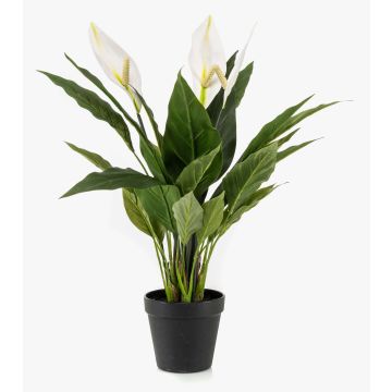Plante artificielle à feuille unique RANIESO, pot décoratif, fleurs, blanc, 55 cm Plante artificielle à feuille unique RANIESO, pot décoratif, fleurs, blanc, 55 cm