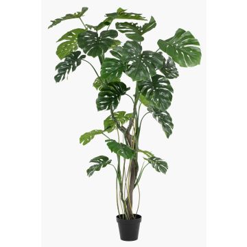Plante artificielle Philodendron monstera deliciosa TANIESO, tronc artificiel, racines aériennes, 210 cm