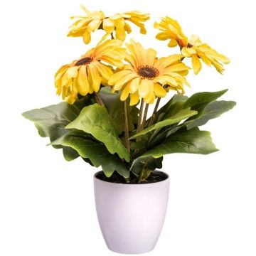 Fleur artificielle Gerbera KROLVEN en pot décoratif blanc, jaune, 27cm