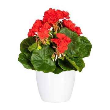 Fleur décorative Géranium CRONVEL, pot en céramique, crossdoor, rouge, 25cm Fleur décorative Géranium CRONVEL, pot en céramique, crossdoor, rouge, 25cm