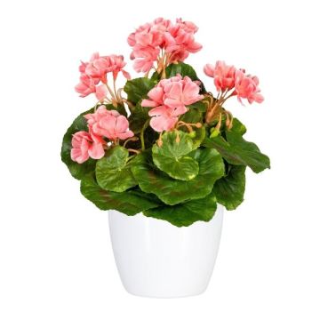 Fleur décorative Géranium CRONVEL, pot en céramique, crossdoor, rose, 25cm Fleur décorative Géranium CRONVEL, pot en céramique, crossdoor, rose, 25cm