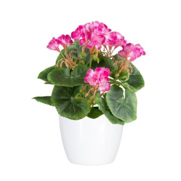 Fleur décorative Géranium CRONVEL, pot en céramique, crossdoor, rose fuchsia, 25cm Fleur décorative Géranium CRONVEL, pot en céramique, crossdoor, rose fuchsia, 25cm