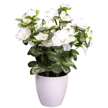 Fleur artificielle Azalée FRALVI en pot décoratif, blanc, 26cm Fleur artificielle Azalée FRALVI en pot décoratif, blanc, 26cm